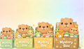 Geschenk Paket (Capybara)